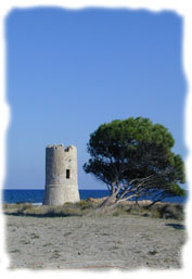 Scorcio della torre di San Giovanni di Posada